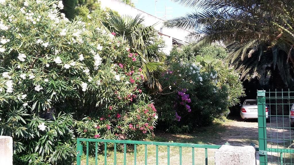 Sabina Apartments Omiš Cameră foto
